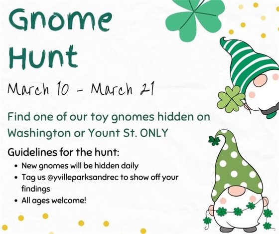 Gnome Hunt