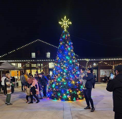 community center tree