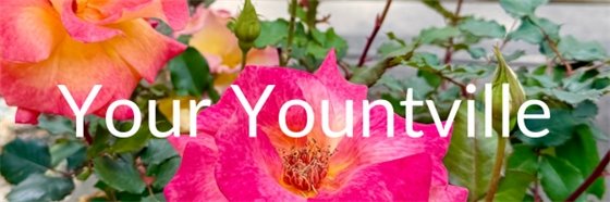 Your Yountville Flower Banner