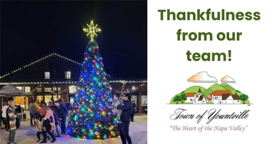 What's Your "Y" Thanksgiving 