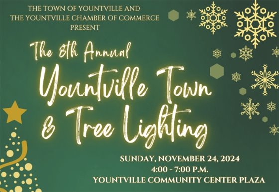 Tree and Town Lighting