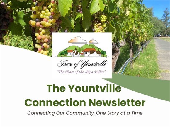 Yountville Connection