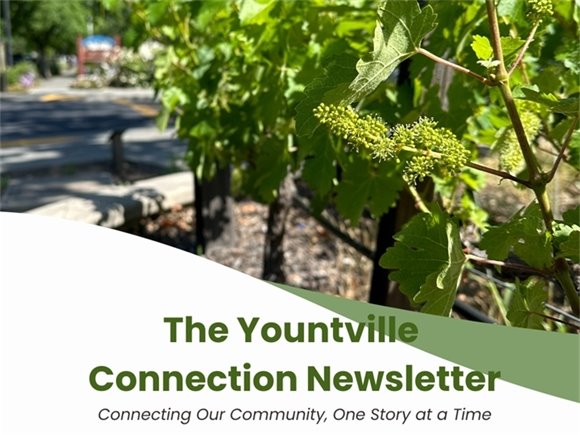 Yountville Connection