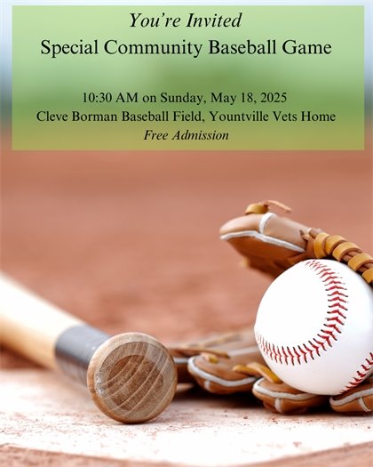 Community Baseball Game