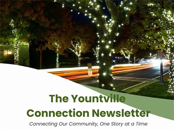 Nighttime street scene in Yountville with trees wrapped in white string lights and blurred car light trails along the road. A green-and-white graphic overlay displays the title “The Yountville Connection Newsletter” with the tagline “Connecting Our Community, One Story at a Time.”