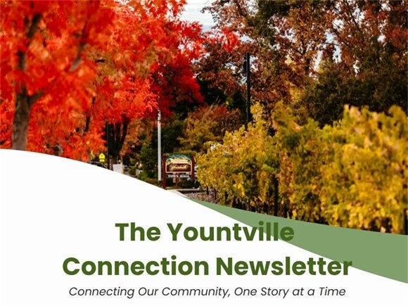 Yountville Connection October 24, 2025 image of fall-colored leaves lining Yount Street.