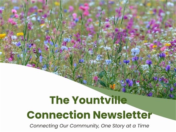 Yountville Connection