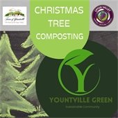 Christmas tree composting