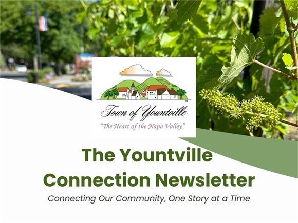 Yountville Connection