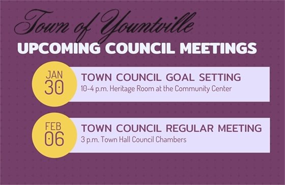 Town Council Meetings