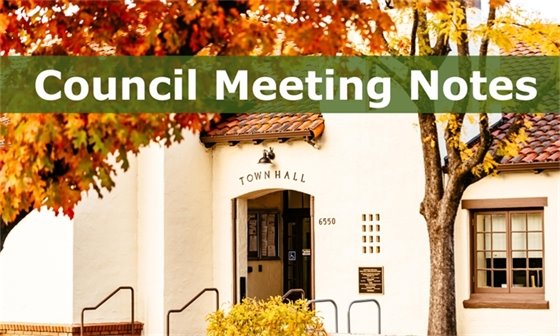 Council Meeting Notes