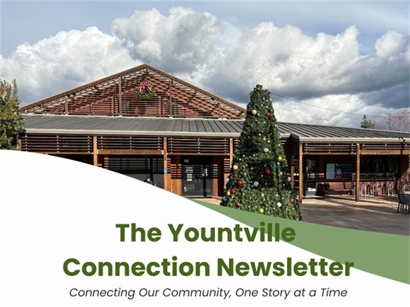 A decorated Christmas tree stands in the plaza in front of the Yountville Community Center and Library on a cloudy day.