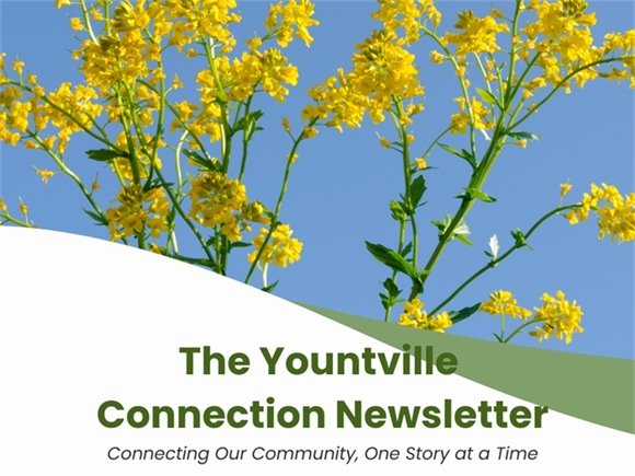 Yountville Connection