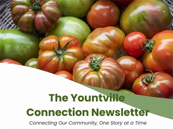 Yountville Connection