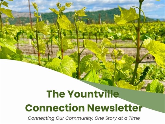 Yountville Connection