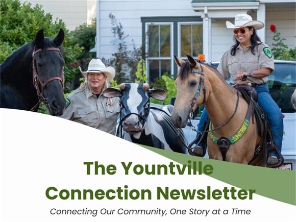 Yountville Connection