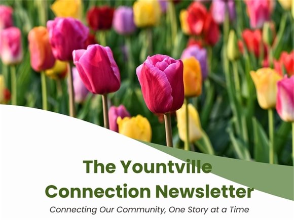 Yountville Connection