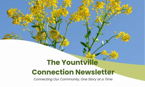 Yountville Connection (500 x 300 px)