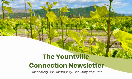 Yountville Connection (500 x 300 px) (4)