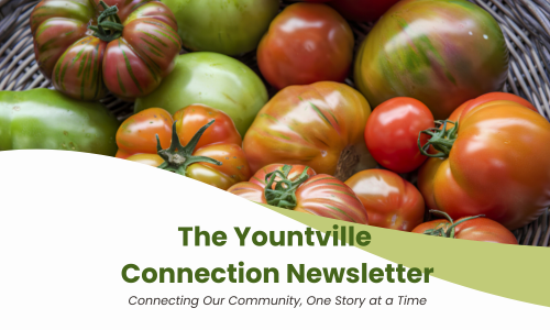 Yountville Connection July 18, 2025 (Cover Shows Heirloom Tomatoes)
