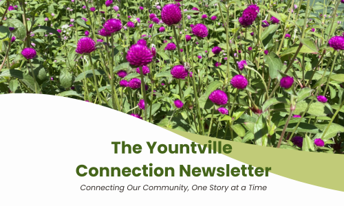 Purple flowers from FarmStand Garden