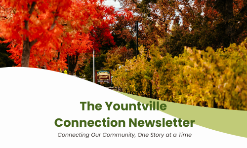 Yountville Connection cover photo of fall trees along Yount Street.