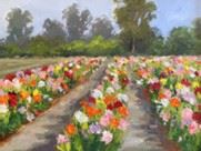 Morning in the Dahlias